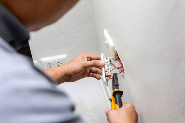 Best Ceiling Fan Installation Electrician  in Wendell, ID